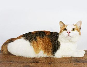 Hildie (20167928)