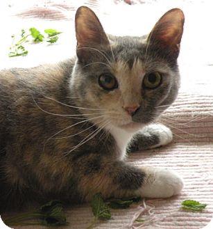 Holly (9559322)