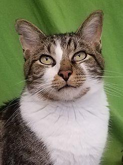 Huxley (12591170)