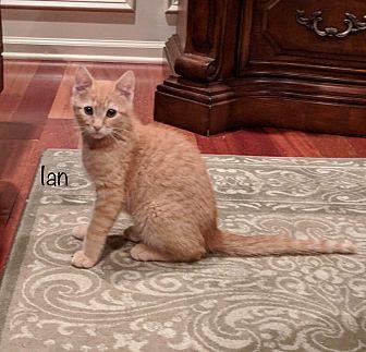 Ian (20596672)