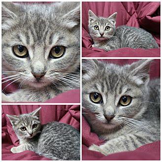 Ingrid (20637227)