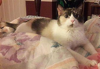 Izzy (20748020)