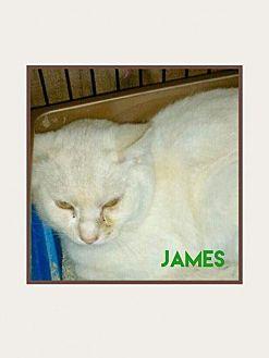 James (18190826)
