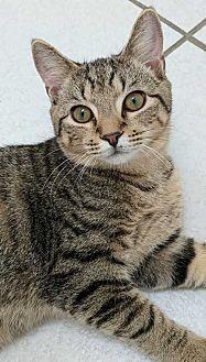 Jaspurr (20577670)