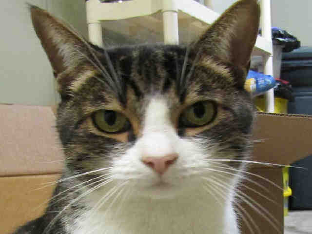 JEFFERY (A135718)