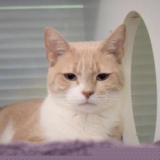 Jerry (20641615)