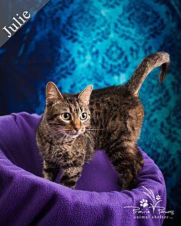Julie (20663361)