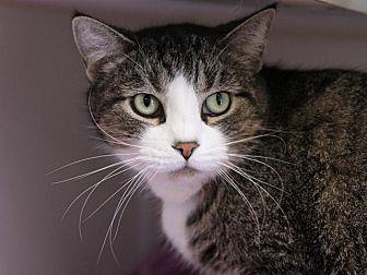 Jynx (20705925)