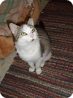 KitneyCP (15575286)