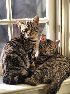 Leo & Louis (20696576)