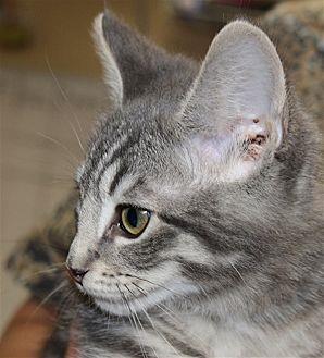 Lida (20768706)