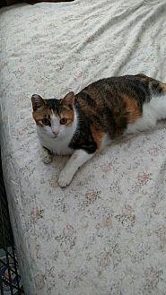 Lilly (18775827)