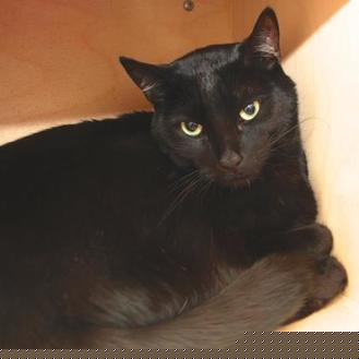 Lilou (20666743)