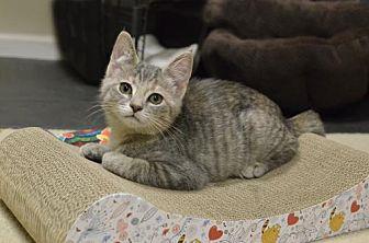 Louise (20781422)