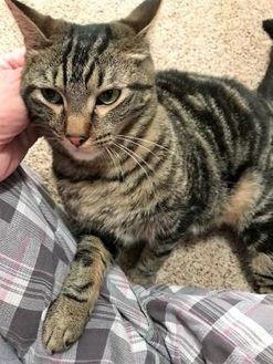 Lucky (19707375)