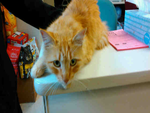 LUCY (A002858)