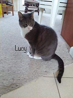 Lucy Declawe (20697886)