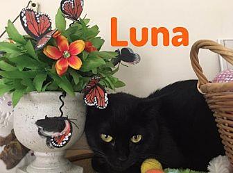 Luna (18994658)