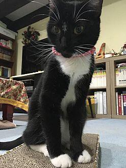 Luna (19792818)