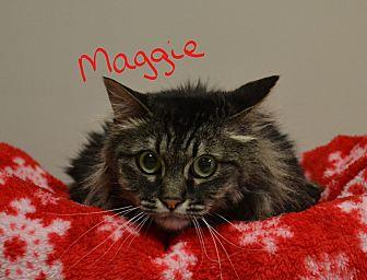 Maggie (20630727)