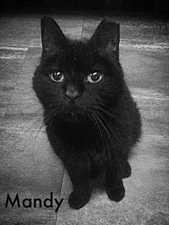 Mandy (adult (17651391)