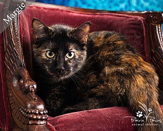 Margie (20665951)