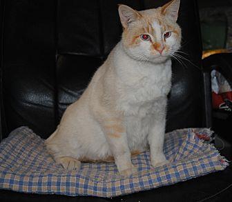 Marvin (20702949)