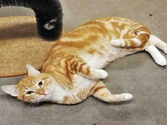 MAURY (A074095)