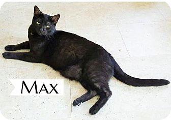 Max (18812671)