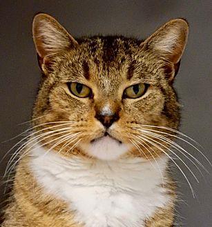 Melvin (20684872)