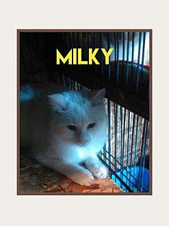 Milky (18190829)