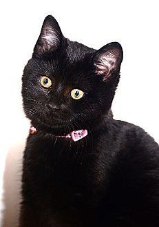 Millicent (20709434)