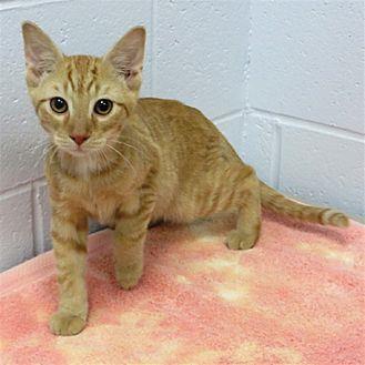 Milo (19692292)