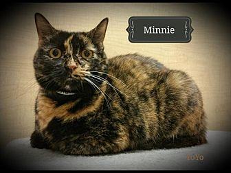Minnie (20714786)
