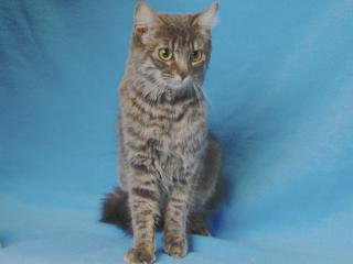 MINNIE* (A244842)