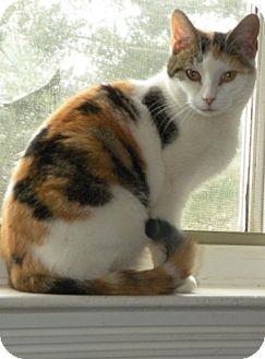 Miss Emmy (9559319)
