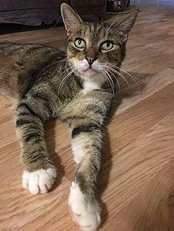 Mister (20599581)