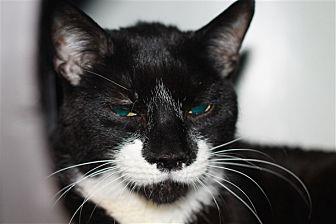 Mittens- Red (20682844)
