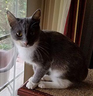 Mitzi (20676935)