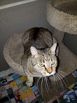 Molly (20447721)