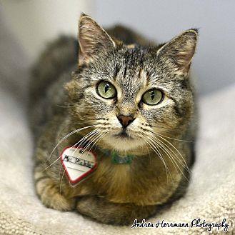 Ms. Pickles (20719100)