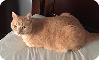 Mufasa (13632957)