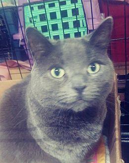 Mumsi (20613610)