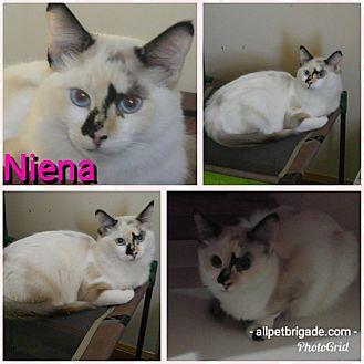 Niena (20192976)
