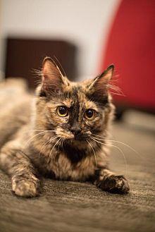 Nora (20755095)
