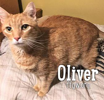 Oliver (20609645)