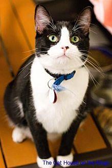 Otis (20767984)