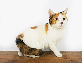 Peaches (19862590)