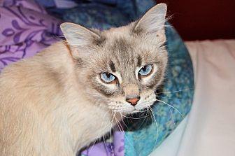 Pearl (20724793)