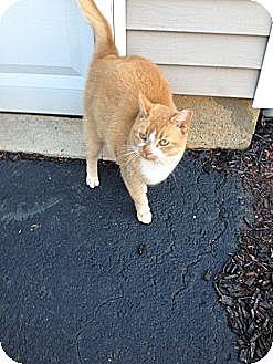 Peepers (10755965)